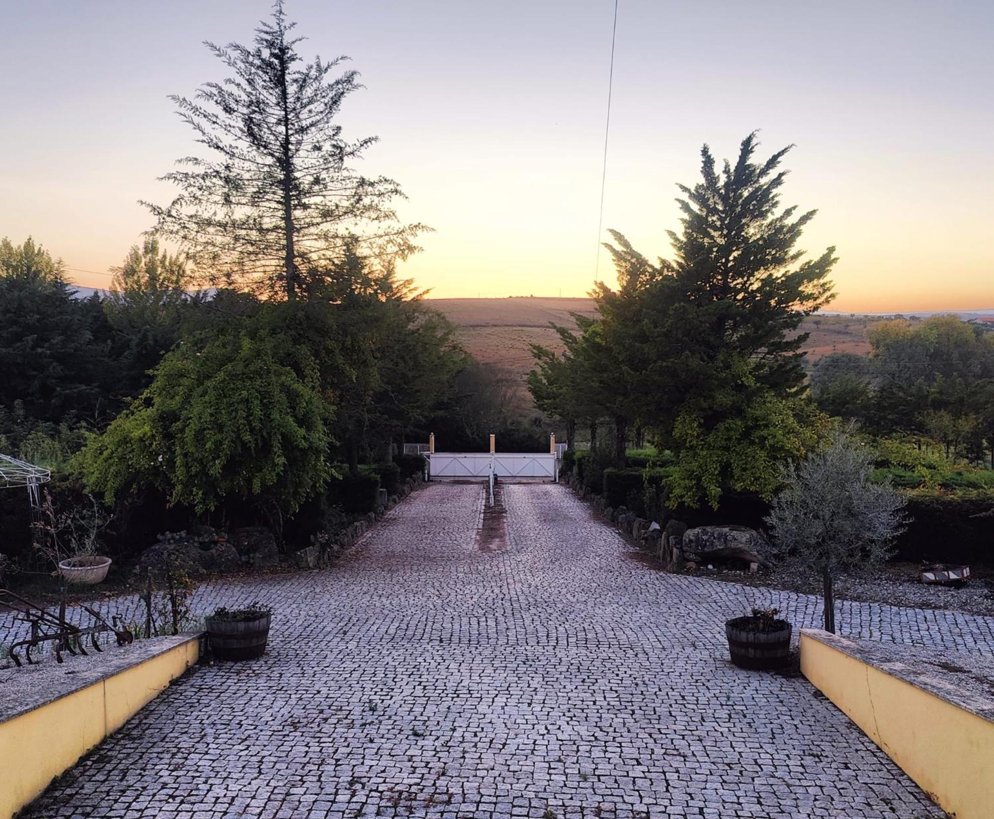 Quinta Da Libelinha Alojamento Local - Мирандела Экстерьер фото